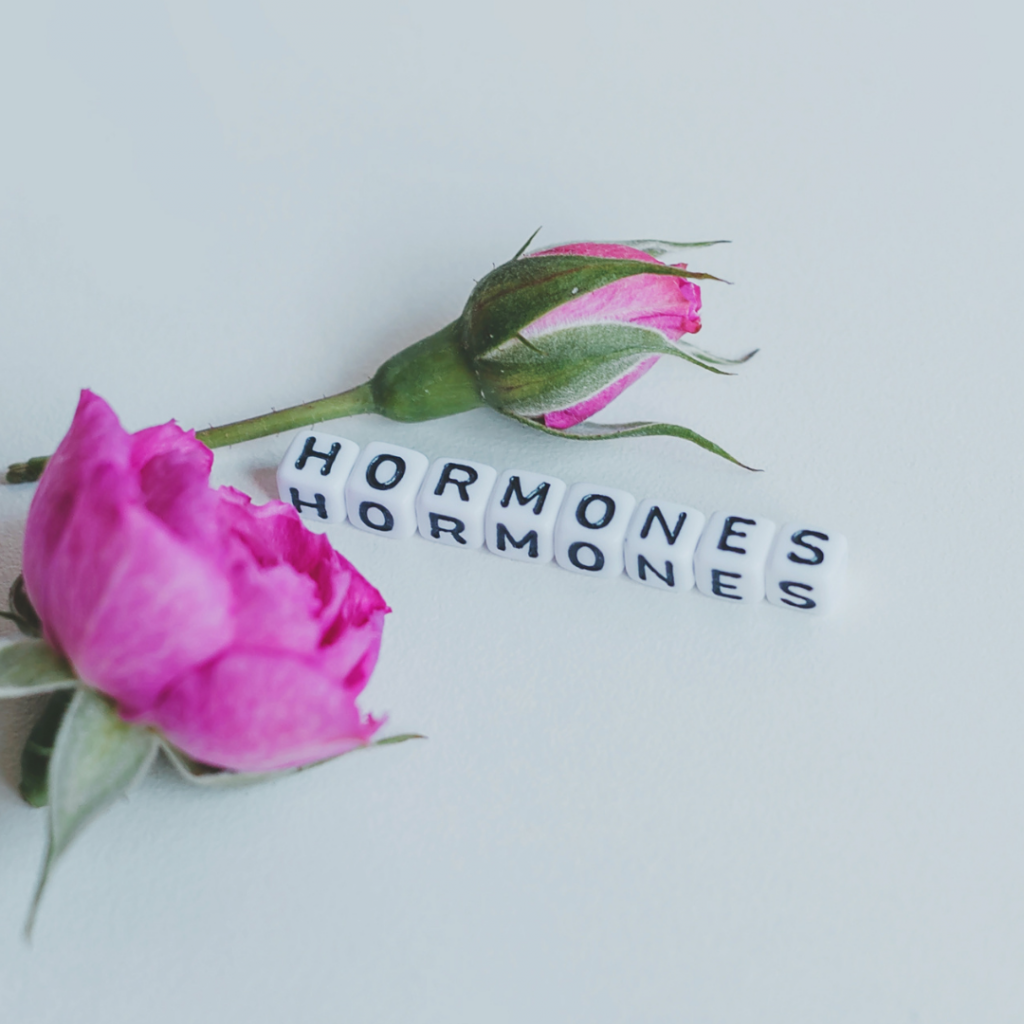 Lipedema y hormonas